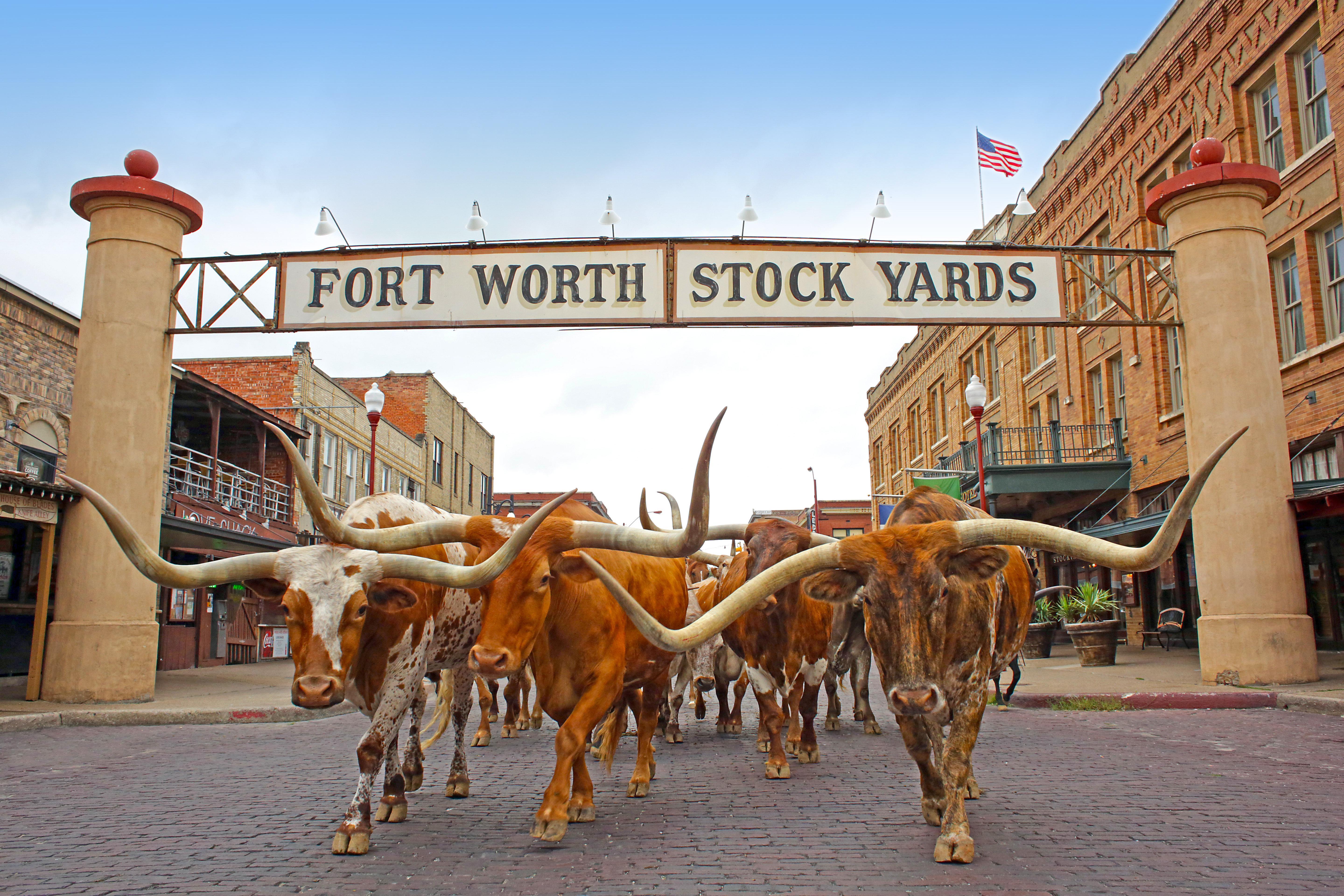 Holiday Inn Express Hotel And Suites Fort Worth/I-20 Екстер'єр фото